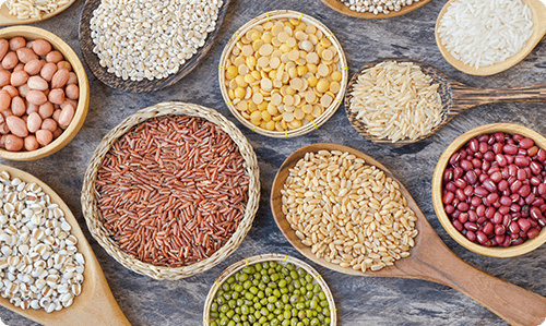 DRIED FOODS