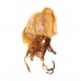 DRIED FOODS