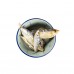 DRIED FOODS