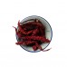 DRIED FOODS